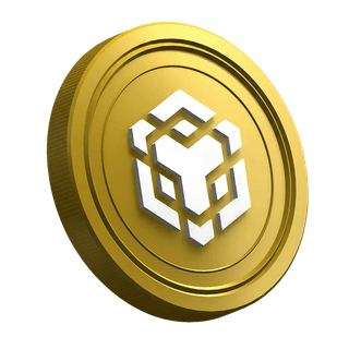 Binance BNB-Kryptowährungs-Coin auf der Ratgeberseite für neue Trader